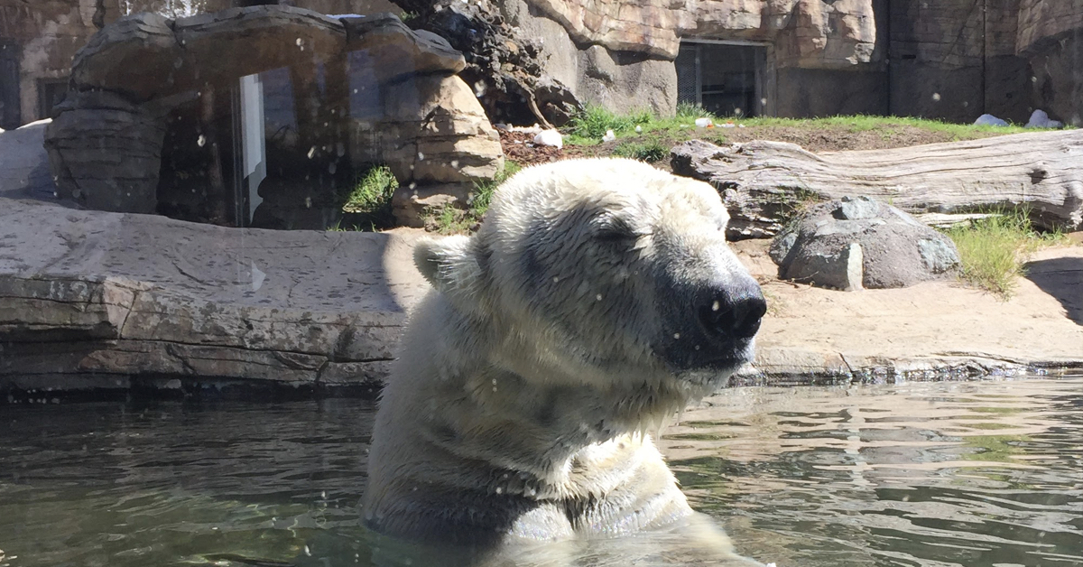 San Diego Zoo